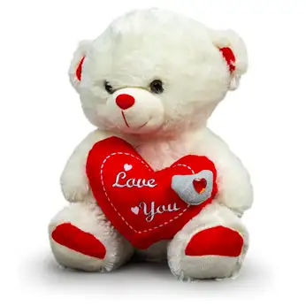 Love Heart Teddy Bears Teddy House Sri Lanka